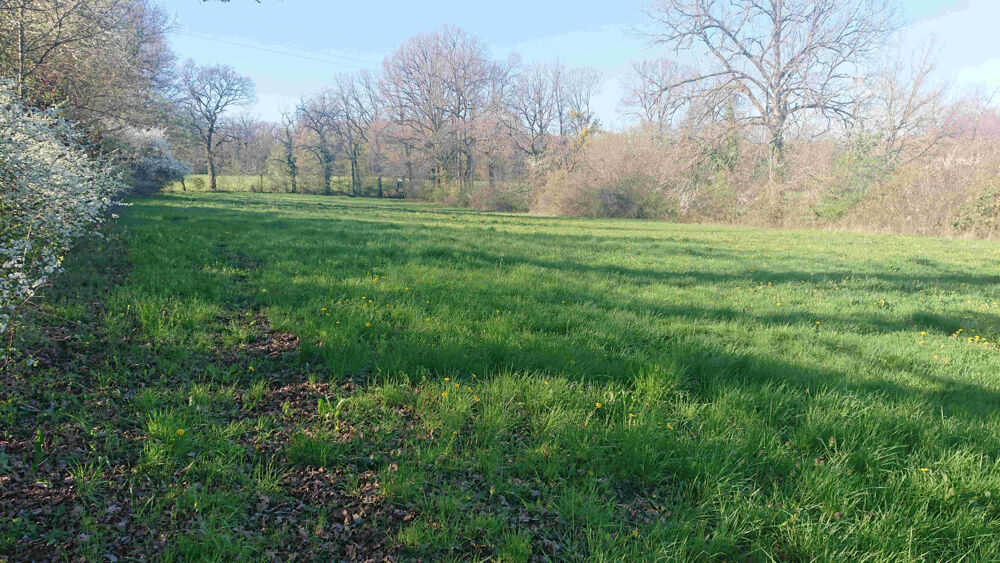 Vente Terrain Joli Terrain de 9381 m2 Puylagarde