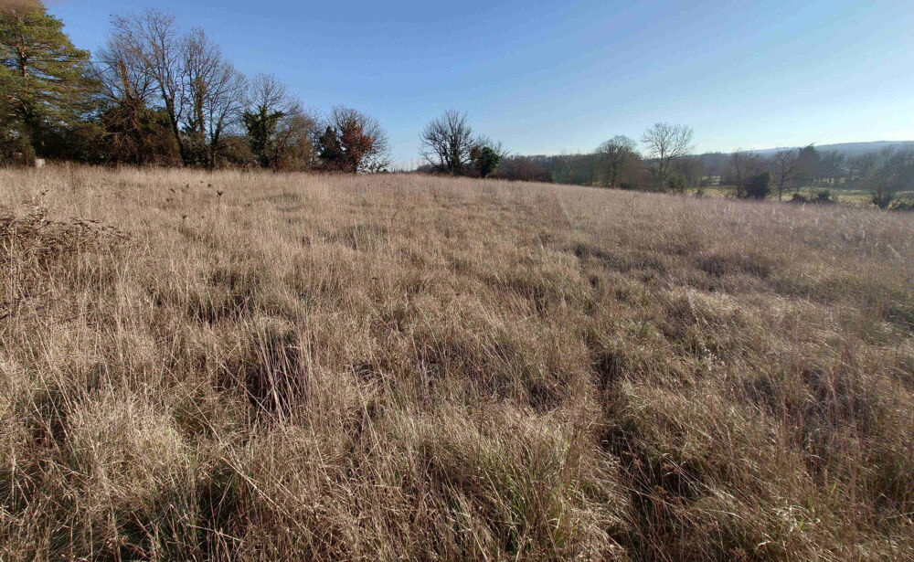 Vente Terrain Joli Terrain 4444 m2 Montsales