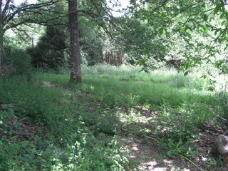  Terrain à vendre 1780 m²