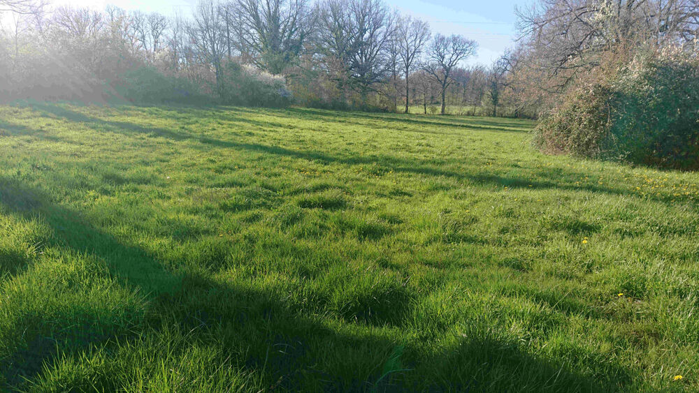 Vente Terrain Joli Terrain de 9381 m2 Puylagarde