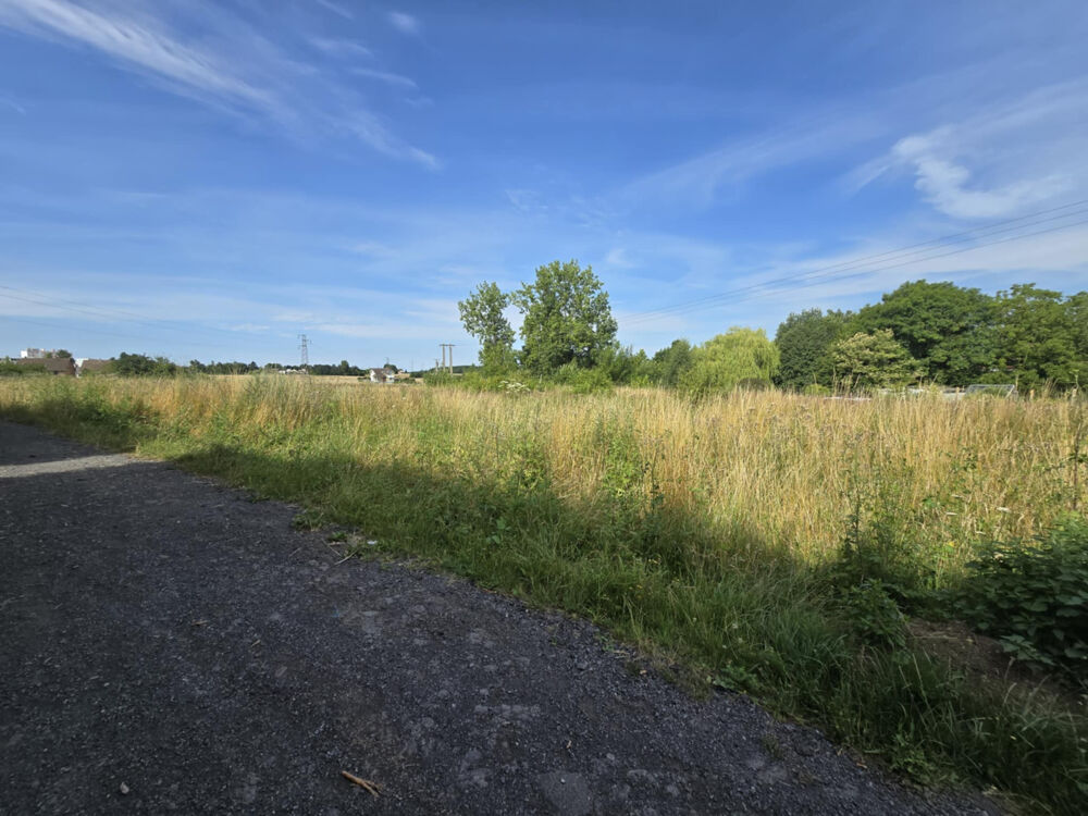Vente Terrain Terrain plat de 4 804 m2 à Auchel Auchel