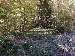  Terrain � vendre 659 m�