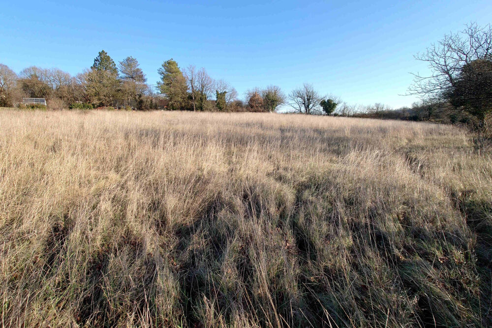 Vente Terrain Joli Terrain 4444 m2 Montsales