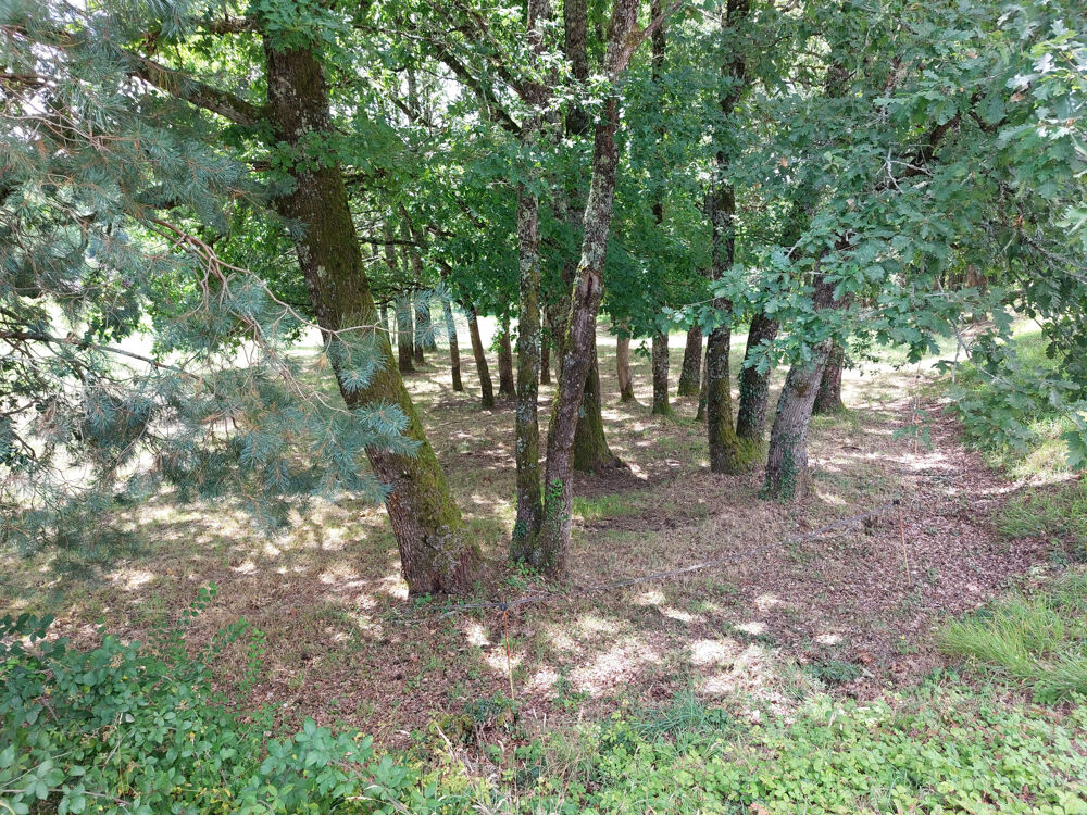 Vente Terrain St PArdoux (24) terrain constructible plat quartier résidentiel St pardoux la riviere
