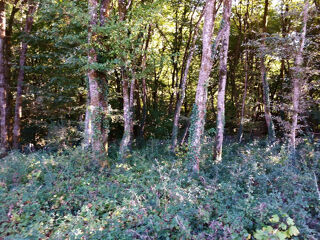  Terrain � vendre 791 m�