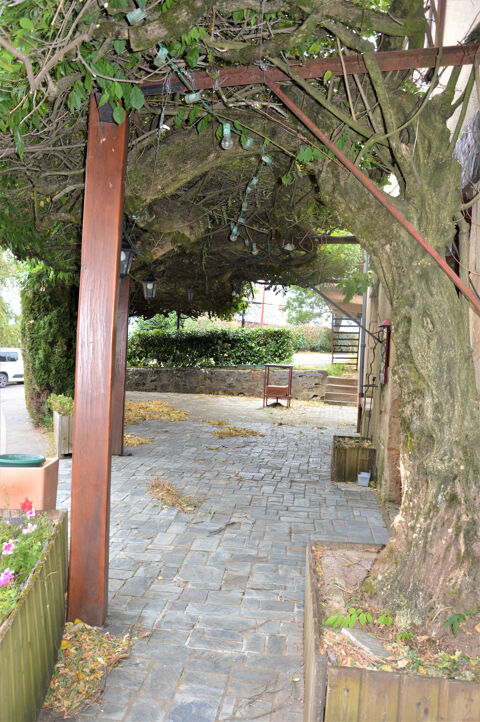 &Agrave; saisir ! H&ocirc;tel-Restaurant avec fort potentiel au cœur d'un secteur dynamique et touristique 228000 12500 Lassouts