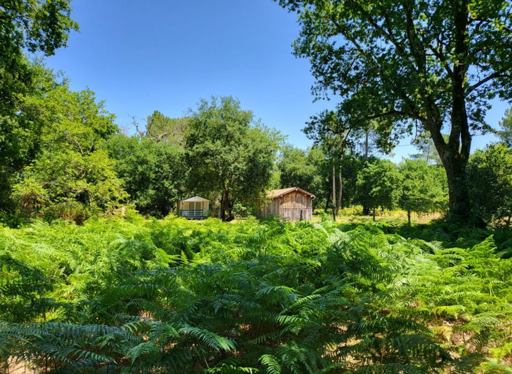 Maison 4 pièces 100 m² · à Sabres · 100 m² · 387 000 €