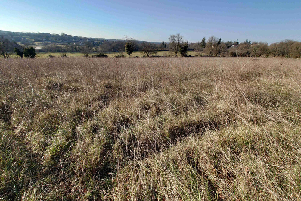 Vente Terrain Joli Terrain 4444 m2 Montsales
