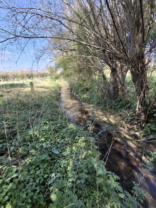  Terrain � vendre 2471 m�