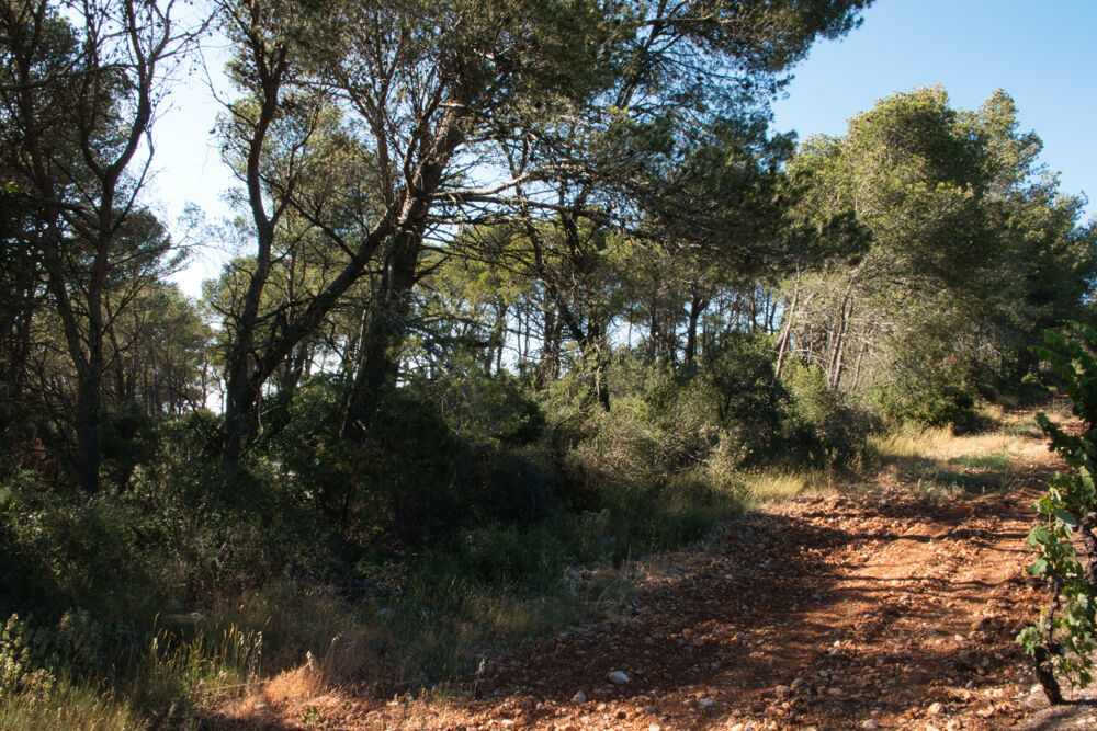 Vente Terrain Fabrezan-Terrain 4 ha non constructible en Zone Naturelle Fabrezan