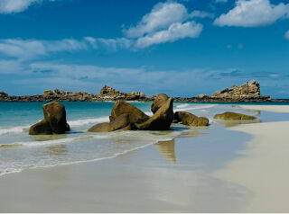  Propri�t�/ch�teau � vendre 13 pi�ces 330 m�