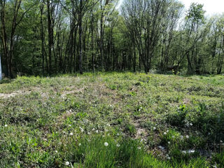  Terrain � vendre 791 m�