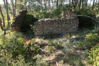  Terrain � vendre 42302 m�