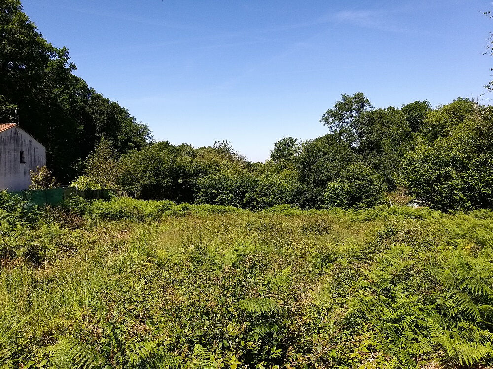 Vente Terrain Terrain à bâtir de 2640 m2 près de Sers à 14 mn de Soyaux Sers