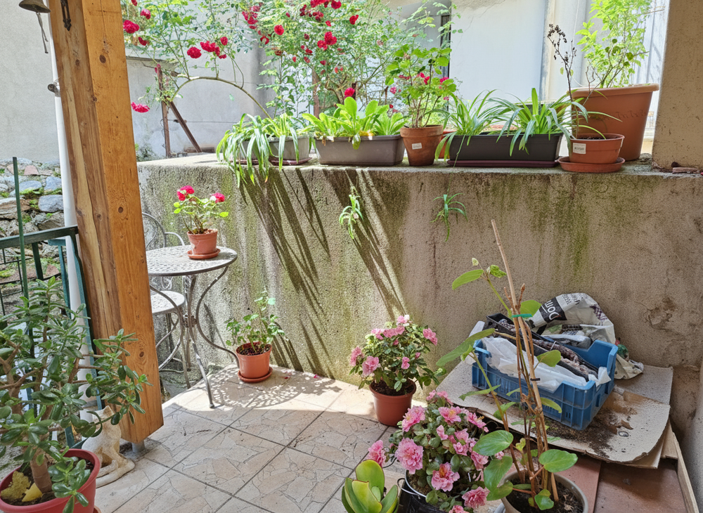 Vente Maison No 14315.  A VENDRE  Maison de village Arles sur tech