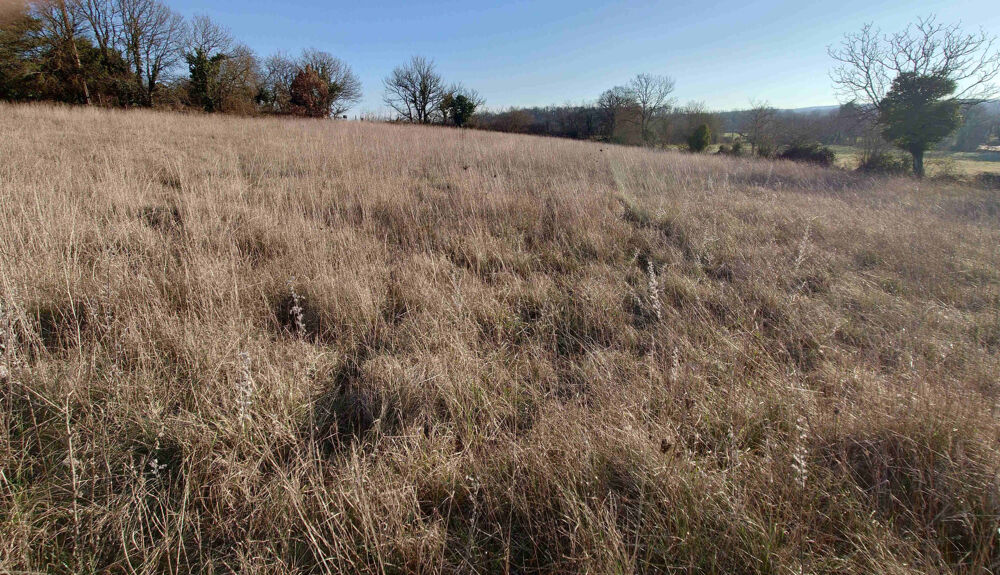 Vente Terrain Joli Terrain 4444 m2 Montsales