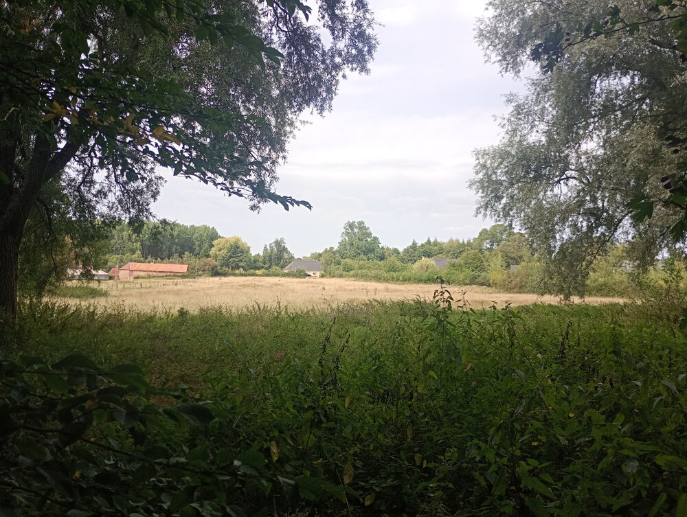Vente Terrain 13 170 m2 pour projet agricole ou détente Hezecques