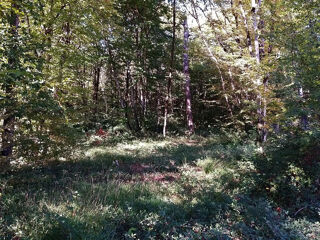  Terrain � vendre 659 m�