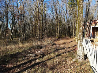  Terrain � vendre 869 m�