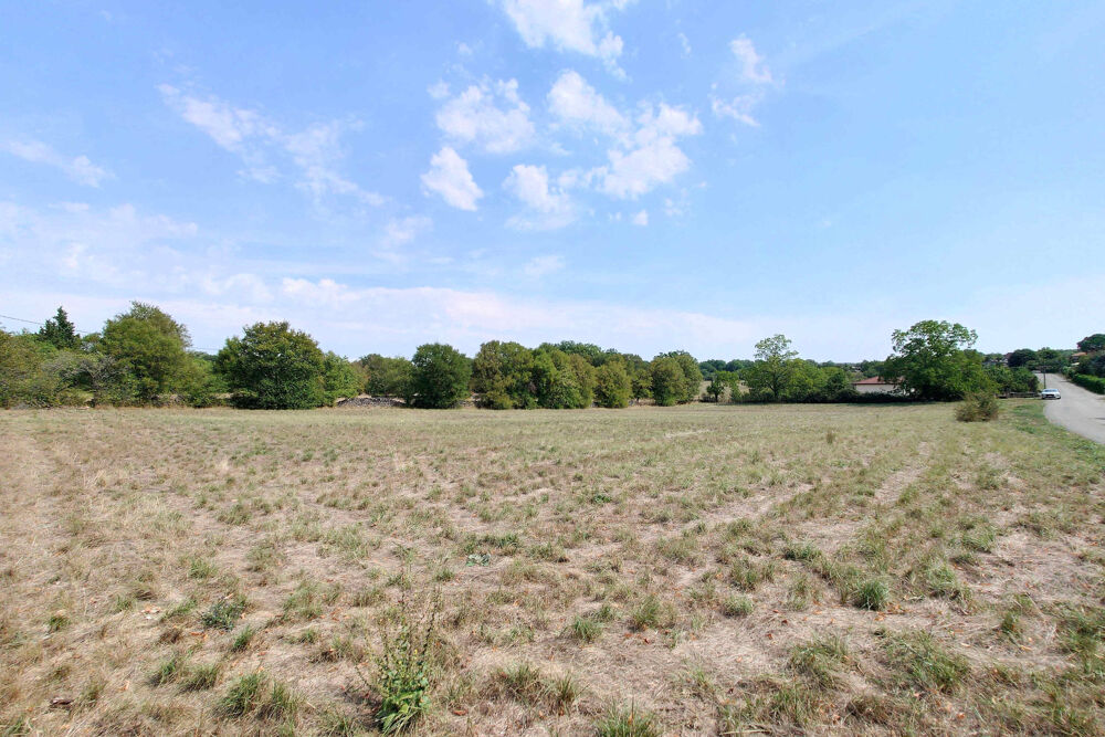 Vente Terrain JOLIS TERRAINS DE 2559 m2 et DE 2571 m2 Montsales