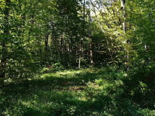  Terrain  vendre 659 m