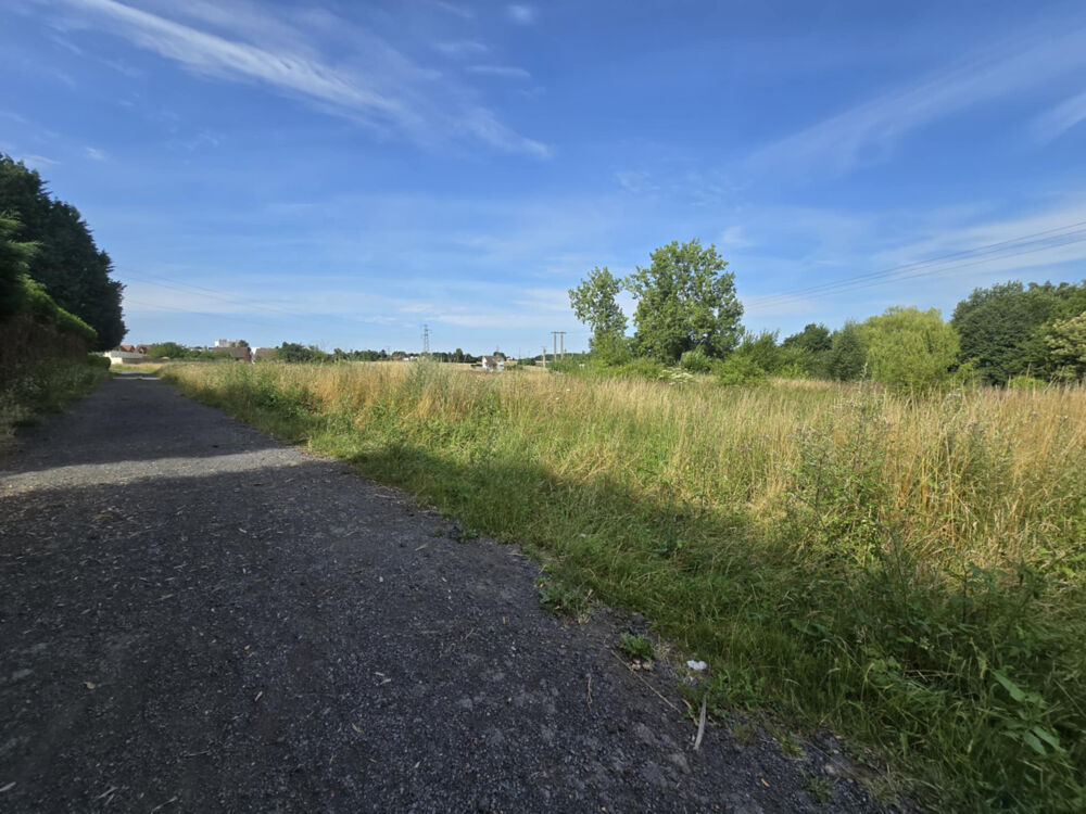 Vente Terrain Terrain plat de 4 804 m2 à Auchel Auchel