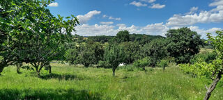  Terrain � vendre 1047 m�