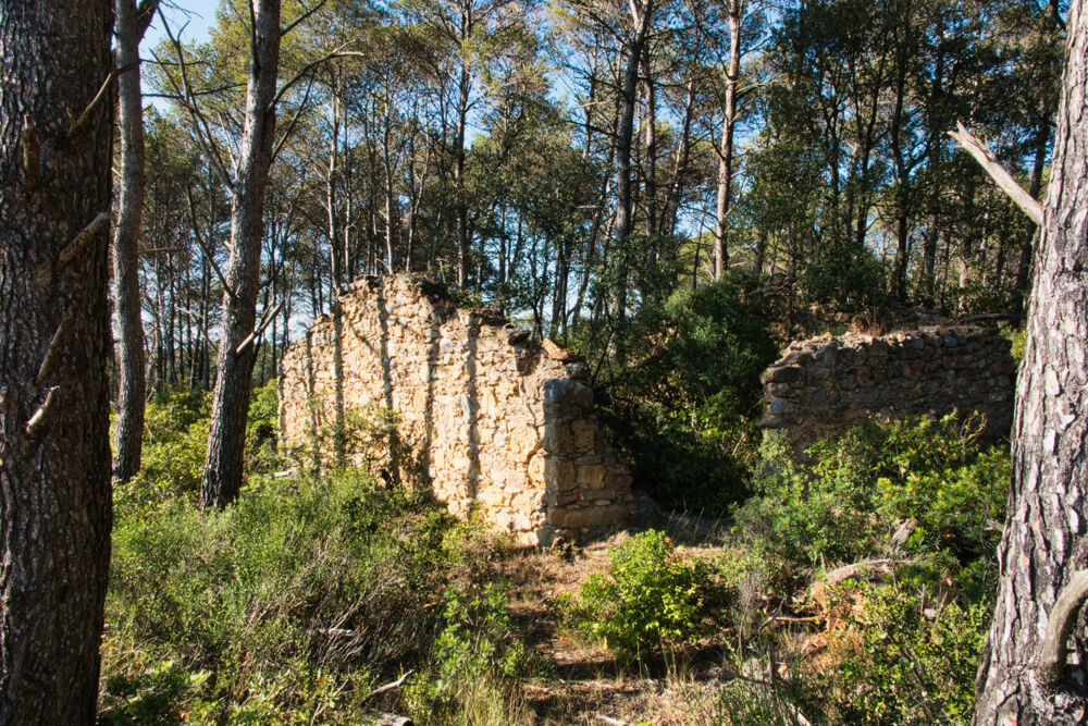 Vente Terrain Fabrezan-Terrain 4 ha non constructible en Zone Naturelle Fabrezan