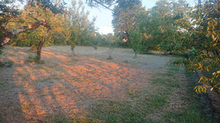  Terrain  vendre 1431 m