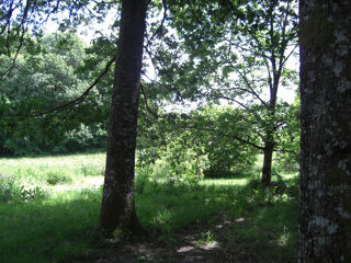  Terrain à vendre 1780 m²
