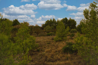  Terrain  vendre 905 m