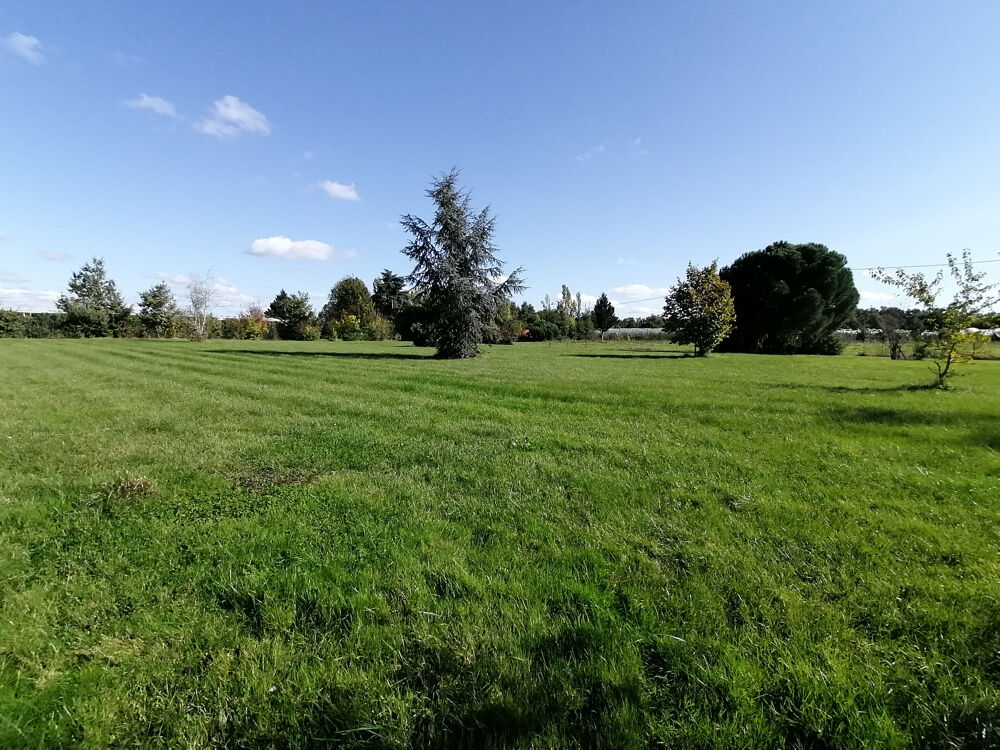 Vente Maison A 10 minutes de Montech - 2 maisons attenantes et hangar sur un terrain de 2,4 ha Montech