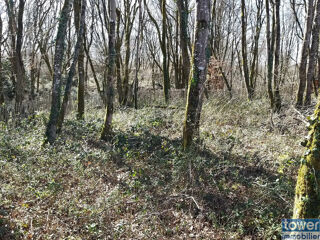  Terrain  vendre 791 m