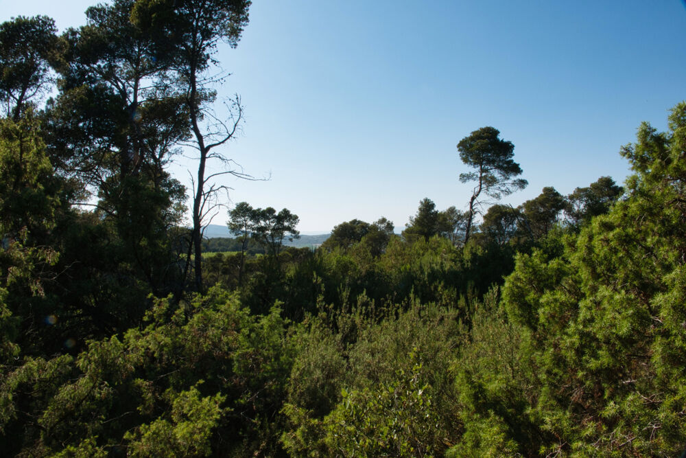 Vente Terrain Fabrezan-Terrain 4 ha non constructible en Zone Naturelle Fabrezan