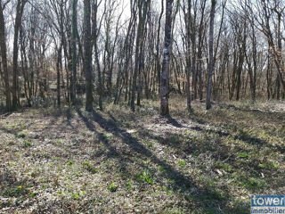  Terrain  vendre 791 m