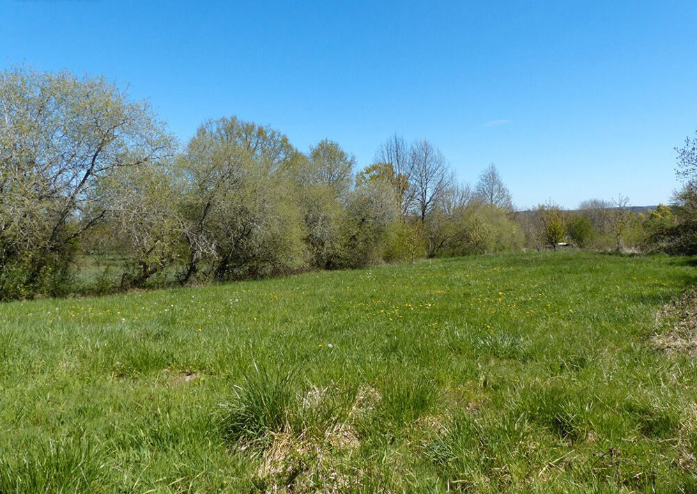 Vente Terrain Joli Terrain de 9381 m2 Puylagarde