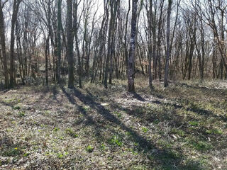  Terrain � vendre 791 m�