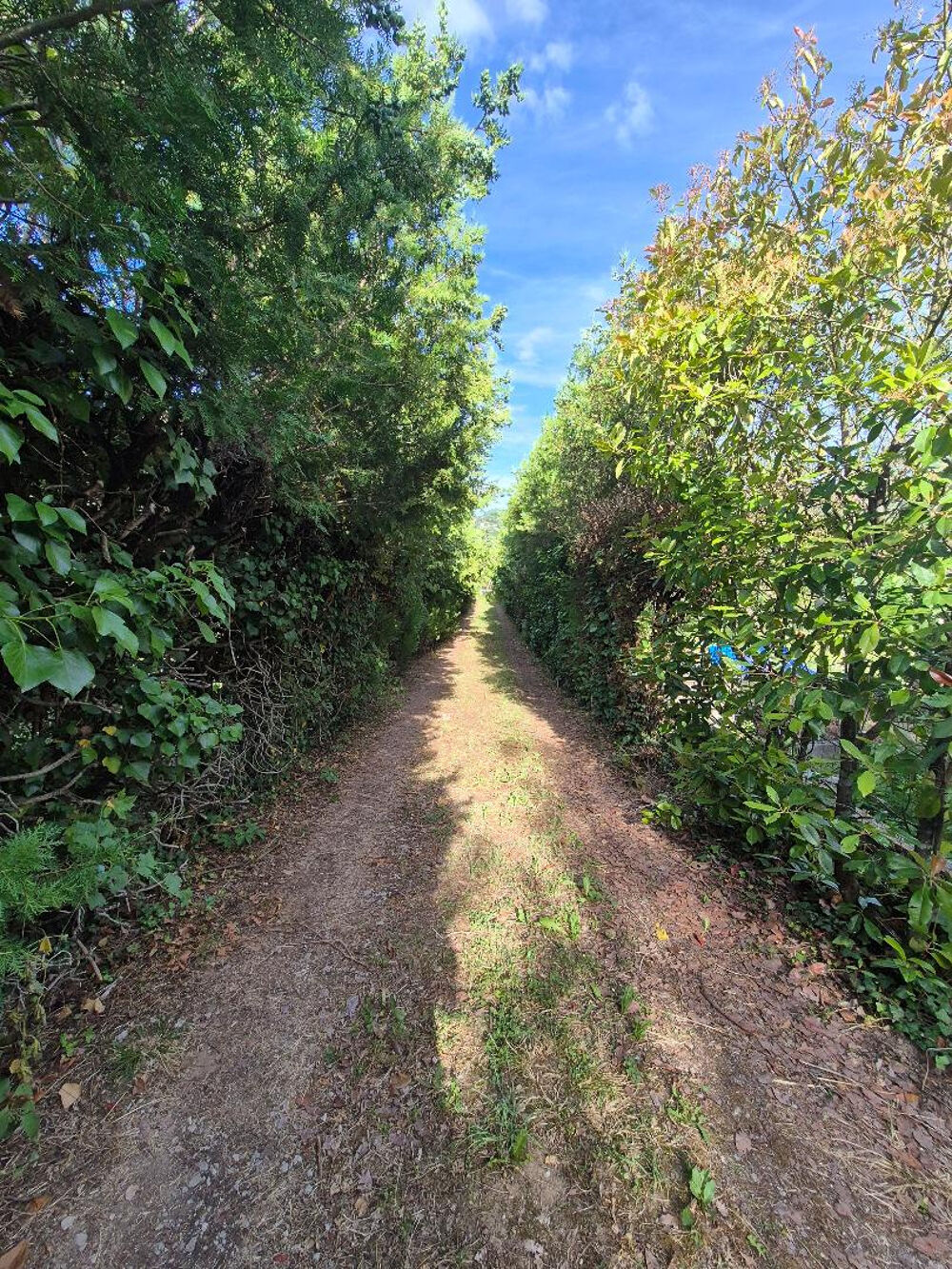 Vente Maison Belle Maison années 80 sur parc arboré Villefranche de rouergue