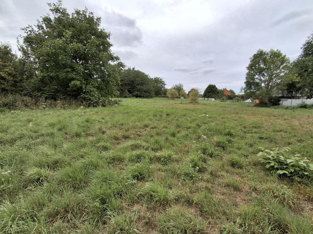 Vente Terrain Terrain de 10 000 m2 St hilaire cottes