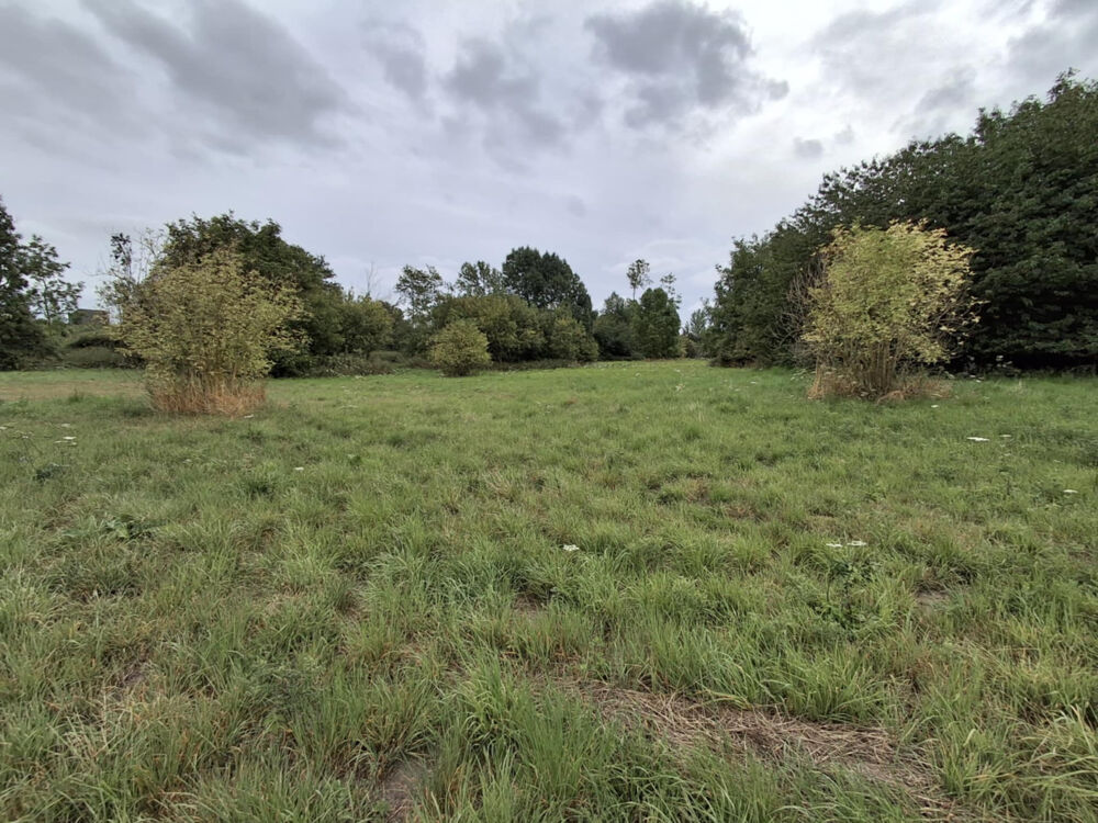 Vente Terrain Terrain de 10 000 m2 St hilaire cottes