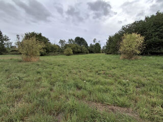  Terrain à vendre 10000 m²
