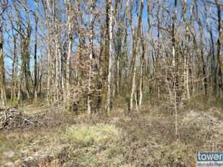  Terrain  vendre 659 m
