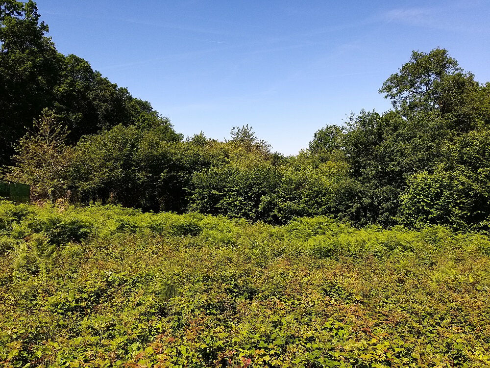 Vente Terrain Terrain à bâtir de 2640 m2 près de Sers à 14 mn de Soyaux Sers