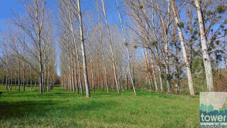  Terrain  vendre 19500 m