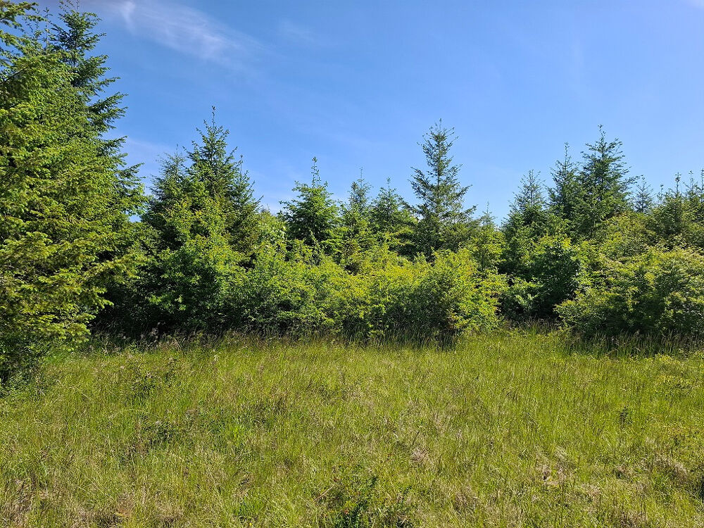 Vente Autre JEUNE PLANTATION DE 8 HECTARES Badonvilliers gerauvilliers