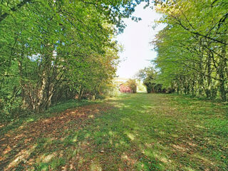  Terrain à vendre 6562 m²
