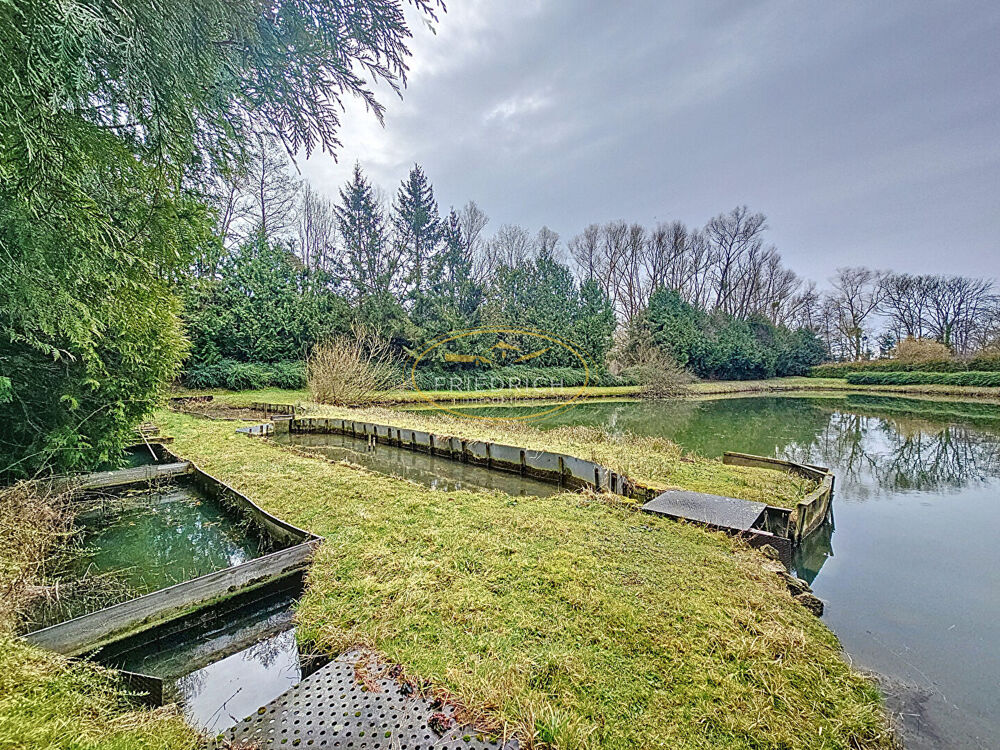 Vente Terrain TERRAIN DE LOISIRS AVEC ETANG ET MAISONNETTE Bar le duc