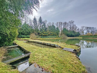 Vente Terrain TERRAIN DE LOISIRS AVEC ETANG ET MAISONNETTE Bar le duc