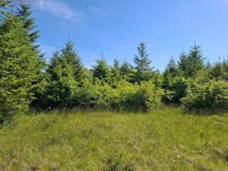 Vente Terrain JEUNE PLANTATION DE 8 HECTARES Badonvilliers gerauvilliers