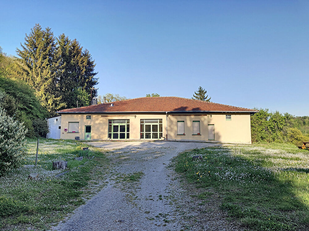   ENSEMBLE IMMOBILIER COMPOSÉ DE PLUSIEURS BATIMENTS ET PISCINE 